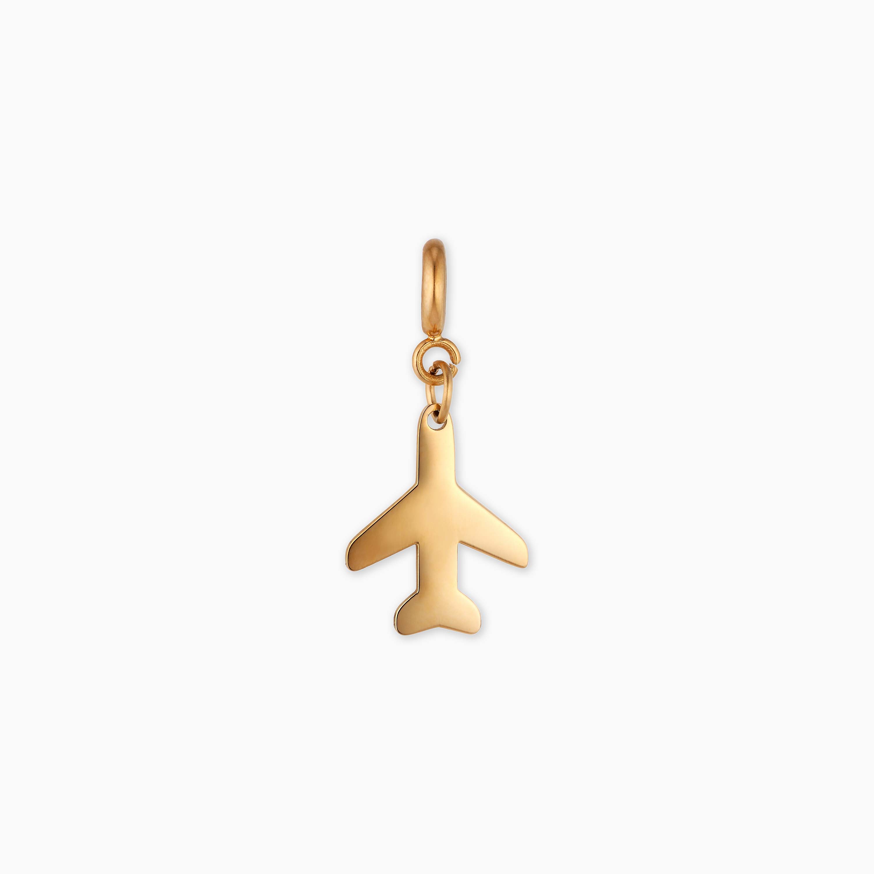 FLY CHARM